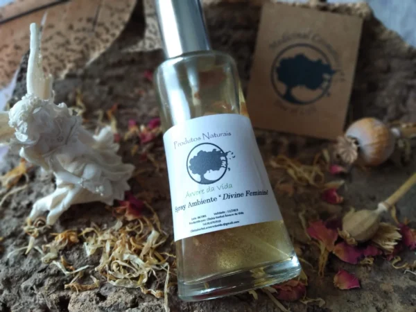 spray femenino 2 Spray Divino Feminino