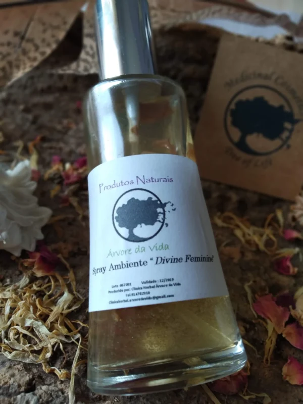spray femenino Spray Divino Feminino